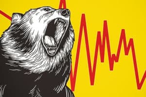 דוב עם גרף אדום מציג 10 דרכים להתמוד עם שוק יורד